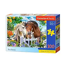 Puzzle 100 elemente..