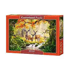 Puzzle 1000 elemente..