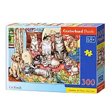Puzzle 300 elemente..