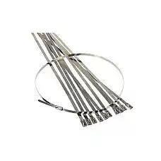 Set colier auto metal 300мм*4,6 10 ..