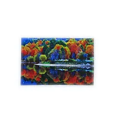 Diamond mosaic Toamna  (50*65)..