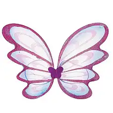 Набор крыльев..