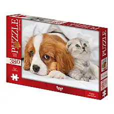 Puzzle C380-06-01..