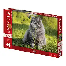 Puzzle C380-06-03..