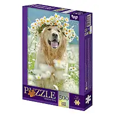 Puzzle C500-15-12..