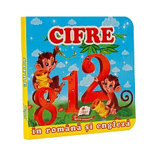 Primele notiuni. Cifre..