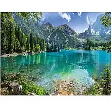 Diamond mosaic Natura (40*50)..