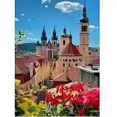 Diamond mosaic Praga (50*65)..