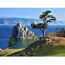 Diamond mosaic Natura (40*50)..