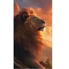 Diamond mosaic Leu (30*40)..