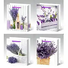 Pachete pentru cadou 31*12*40..