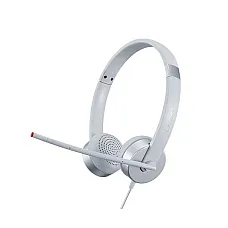 Lenovo 100 Stereo Analog Headset (C..