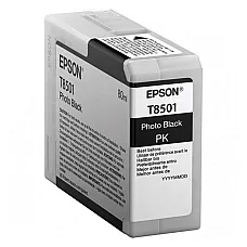 Ink Cartridge Epson T850100 PhotoBl..
