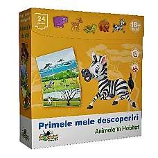 Noriel Primele Mele Descoperiri - A..