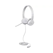 Lenovo 110 Stereo USB Headset..