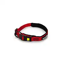 BEEZTEES ошейник нейлон. Premium PA..