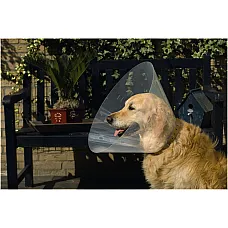 BEEZTEES veterinary collar D38-44 x..