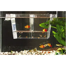 BEEZTEES fish tank large..