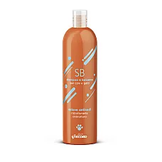 Șampon și balsam RECORD ALL for Sof..