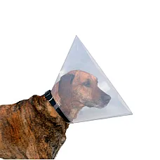Zgardă veterinară 10..