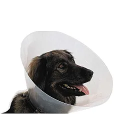 Guler veterinar 20..