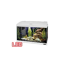 Acvariu CAPRI 50 LED alb..