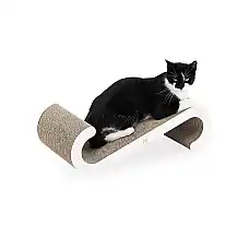 PR Scratch'n Rebels Bella 60..