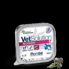 MONGE VETSOLUTION DOG RECOVERY 150g..