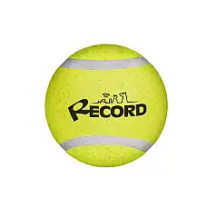 Record Мяч теннисный TENNIS FUN 5cm..