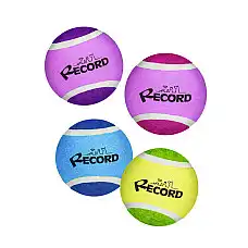 Record Мяч теннисный 4PZ TENNIS BAL..