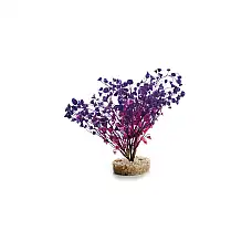 Растение пластик. Aqa Friend Wild P..