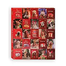 Antos Christmas Advent Calendar Dog..