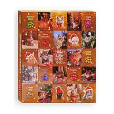 Antos Christmas Advent Calendar Cat..