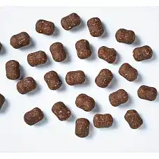 Antos Buddies Venison..