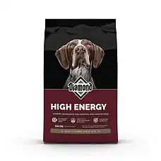 DIAMOND HIGH ENERGY SPORTING DOG..