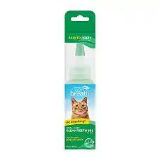 Fresh Breath Clean Teeth Oral Care ..