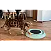 GEORPLAST HappyCat jucărie de carton pentru pisici
