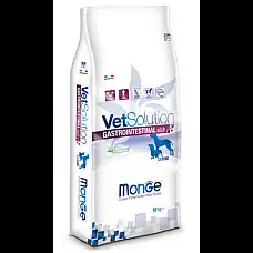 MONGE DRY VETSOLUTION DOG INTESTINA..