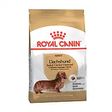 ROYAL CANIN DACHSHUND ADULT..