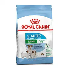 ROYAL CANIN MINI STARTER 4kg..