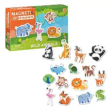 Joc magnetic 
