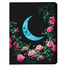 Pictură pe numere 40х50 cm (fără cu..