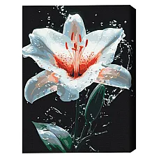 Pictură pe numere 40х50 cm (fără cu..