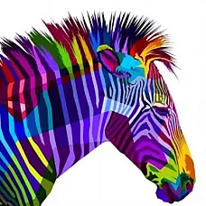 Set pictam pe numere Zebra (30*40)..