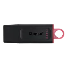 256GB  USB3.2 Flash Drive Kingston ..