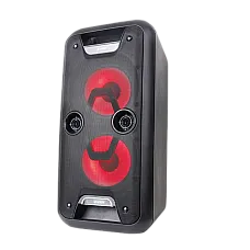 Portable Audio System F&D PA926..