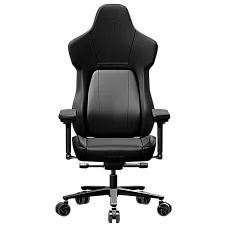 Ergonomic Gaming Chair ThunderX3 CO..