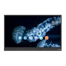 Интерактивный дисплей StarBoard IFP..