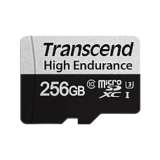 256GB MicroSD (Class 10) UHS-I (U3)..