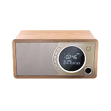 Sharp  DR-450BRV03, Portable Digita..